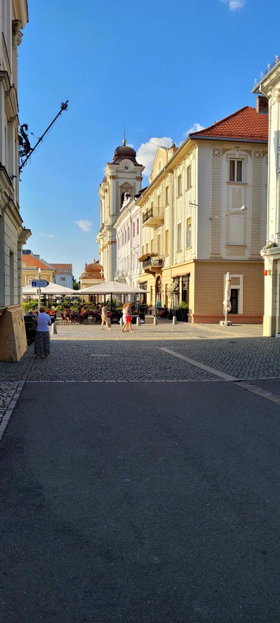 Pacha Residence Timisoara Exterior photo