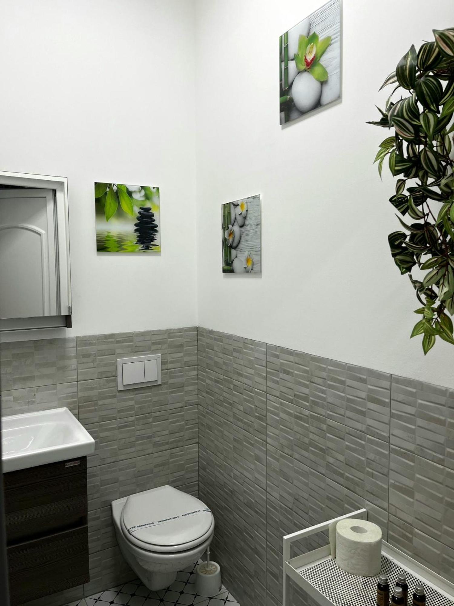 Pacha Residence Timisoara Exterior photo